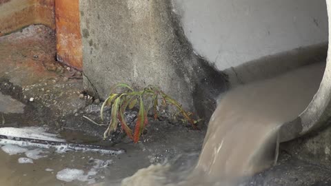 Pollution from a river harming the environment 🤦🏽‍♂️🏞️