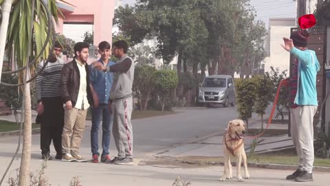 Real Dog Bark Prank Prank in Pakistan Smarties Prank TV