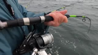 A Day-to-Day of a Reel Time Fishing charter!
