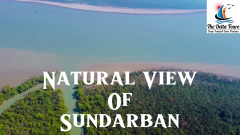 Explore the Sundarbans with The Delta Tour