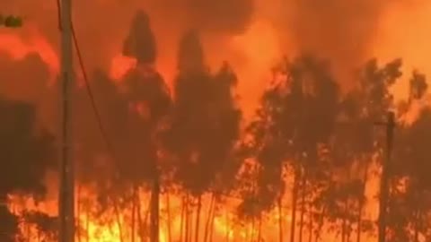 Portugal's wildfires have killed 1 and injured 135. Real reporters drove through the fire