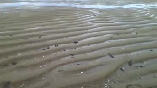 It's not the desert, it's the sand dunes on the beach, so beautiful! [Nature & Animals]