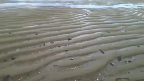 It's not the desert, it's the sand dunes on the beach, so beautiful! [Nature & Animals]