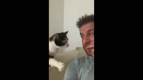 Watch this cat try to eat so funny 😂😂😹😺