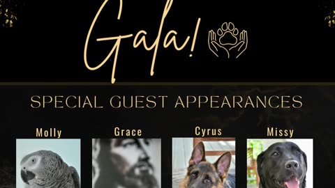 Ark of Grace Ministries' First Annual Gala