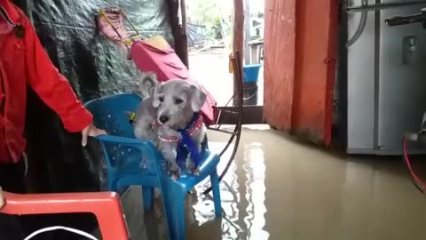 300 familias afectadas por fuertes lluvias en Puerto Wilches, Santander