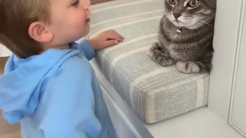 Cat disciplines little boy
