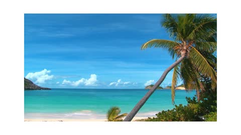 Playa Relax 🌊 Sonido de playa para la tranquilidad, paz y relajación 🌊