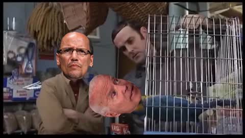 Biden is the DNC Parrot