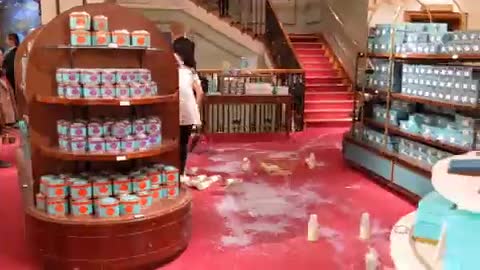 £100,000 of Damage At Fortnum & Mason: 2 members Of Animal Rebellion Charged.