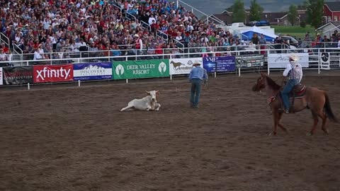 cowboy steer wrestling at rodeo slow motion