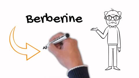 Berberine Blood Sugar Cholesterol Weight Loss Benefits