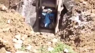 Construction Workers Help A Bear Out Of A Trapped Hole