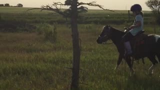 Girl on horse rides into tree