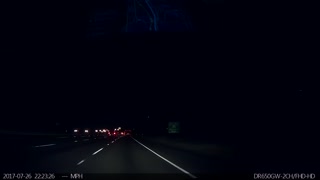 Tesla Driver Saves the Day