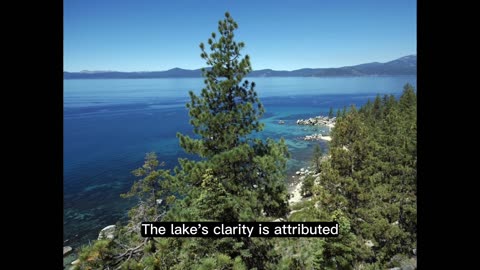 Lake Tahoe Explored: An In-Depth Look at Its Natural Beauty and Ecological Importance