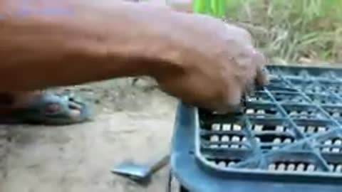 How to Install Simple Wild Cat Trap Using Plastic Basket