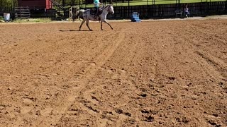 Harper galloping