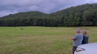 Elks Bugling-Cherokee NC