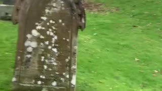 Alness Burial Ground