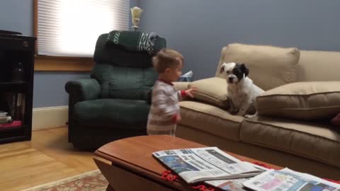 Little Boy Tries To Teach Lazy Dog How To Fetch