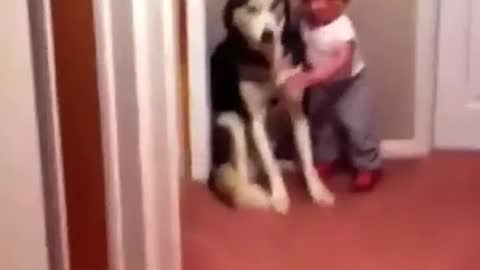 Cute baby runs to a dog in fear of a vacuum voice