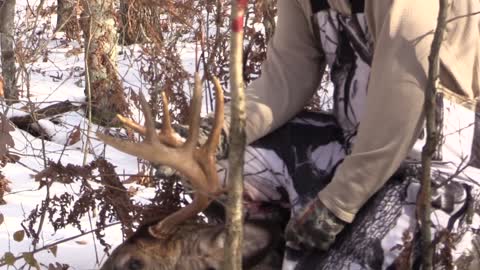 2019 Gun Season Opening Morning - 3 Bucks And A Yote Go Down - MWP S10 E8