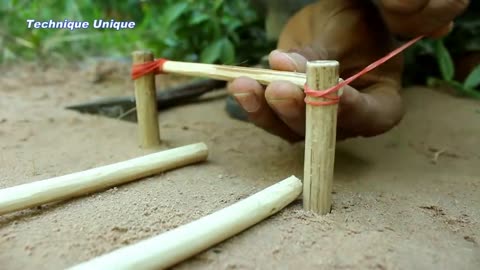 Rolling Parrot Trap in Hole: New Creative Unique Bird Trap Using Small Plastic Ball