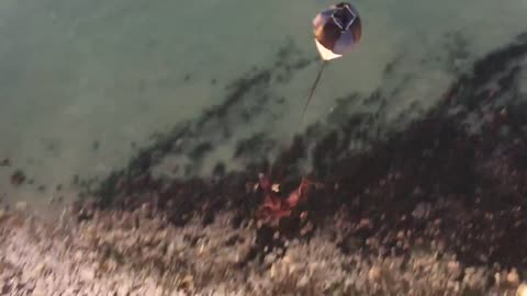 Sunset Basejump off Windy Cliffs