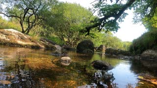 Gentle flowing river. DARTMOOR. GoPro