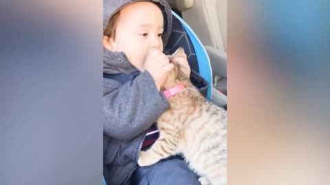 Cute baby vs cat