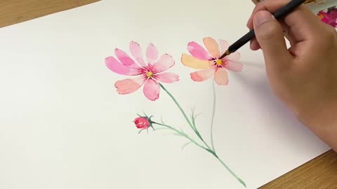 How to Paint Cosmos Flowers Painting Watercolor for Beginners