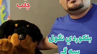 كلب🐕🦮 بلكوردي وبلتركماني #وسام_بترول