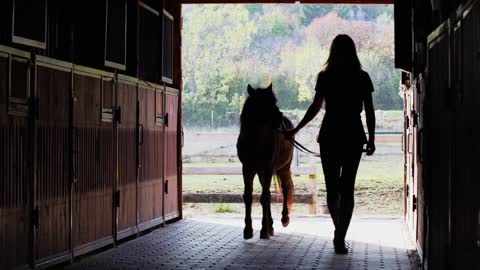 How This Great Relation Between girl and a pony Little Horse