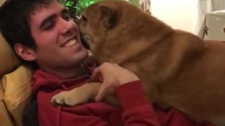 Dog can't stop kissing owner
