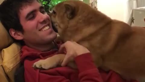 Dog can't stop kissing owner