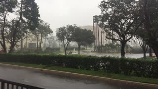 Hurricane Irma in South Florida