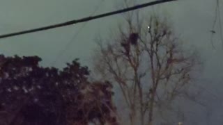UFO sighting in Metairie, Louisiana.
