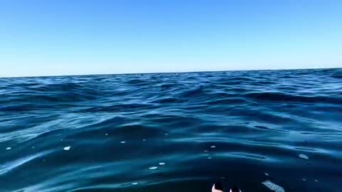 What it looks like at eye level to the ocean