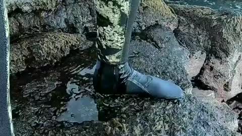 Man in camouflage wet suit pees himself