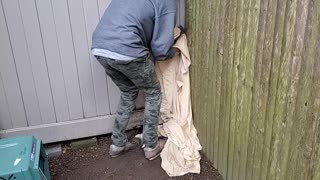 Man Rescues Raccoon that is Stuck Between Fences
