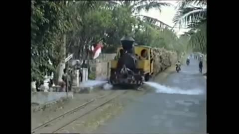 Sugar cane train