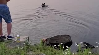 Guy Goes Fishing and Dog Goes After Bait!