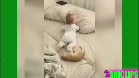 SO Cute! Cute baby Dog video