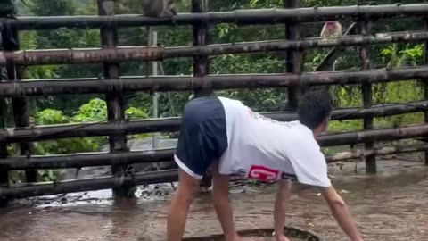 #funny #monkey style #viral