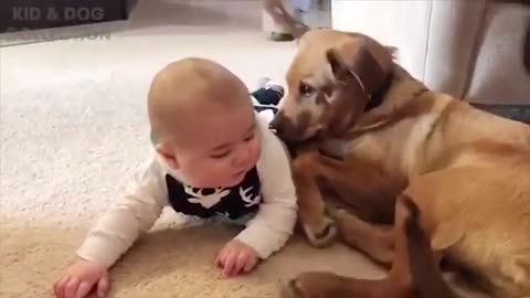 Cutest Dogs Babysitting Baby