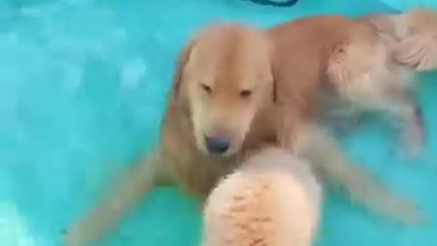 Tucker Shows Todd How to Swim