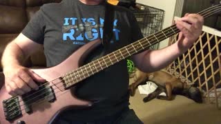 Brandy Bass Cover by Looking Glass