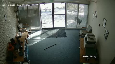 Security Cam Catches Goat Breaking Into Colorado Office