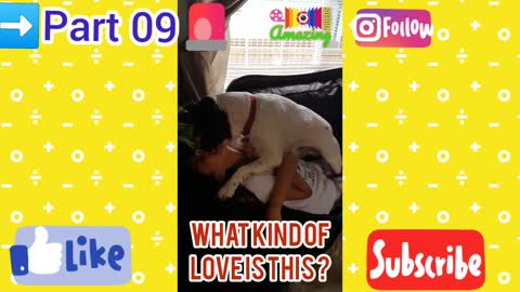 WoW Amazing🤩Dog🐕‍🦺Lover🐕Part 09💋Kissing Dog🐶Video🦮Animal😍Dog Lover🐕Amazing🧐Shorts😳Reels📢Videos😁📸